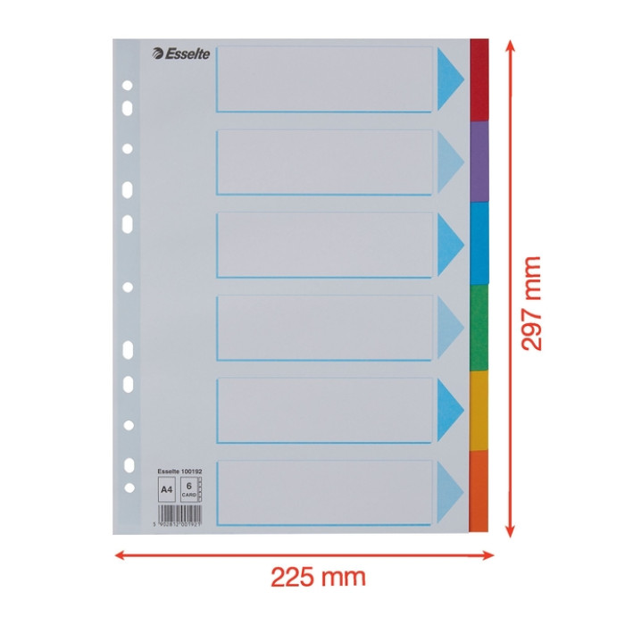 Tabbladen Esselte Standaard A4 6-delig karton 11-rings met voorblad assorti