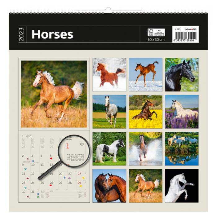 Kalender 2024 Helma 365 30x30cm paarden