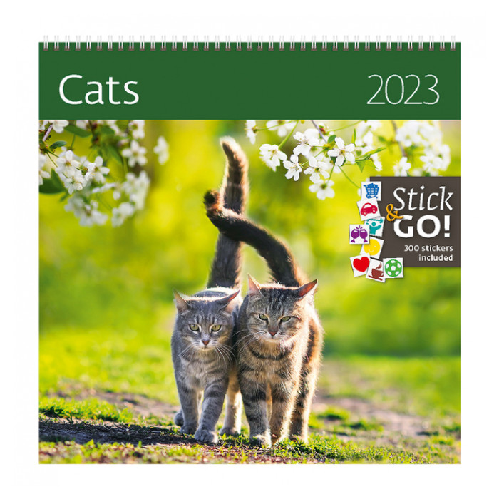 Kalender 2024 Helma 365 30x30cm katten