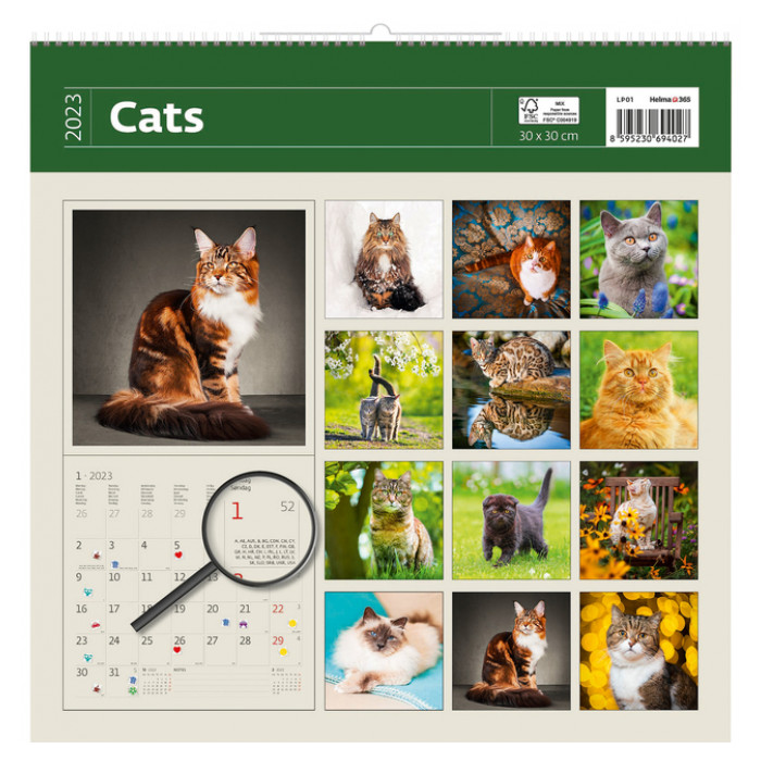 Kalender 2024 Helma 365 30x30cm katten