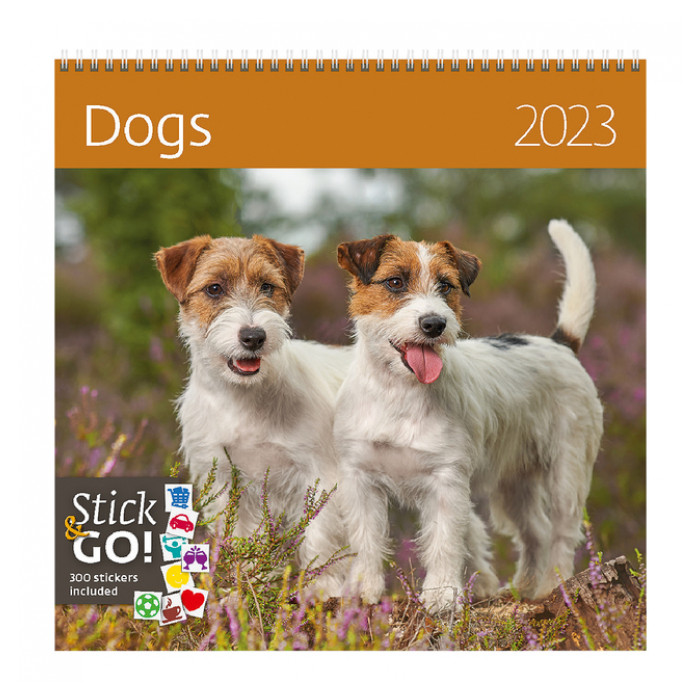 Kalender 2023 Helma 365 30x30cm Honden