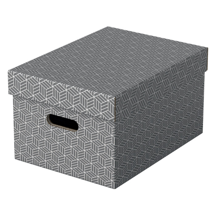Opbergdoos Esselte 265x205x365mm grijs 3 st