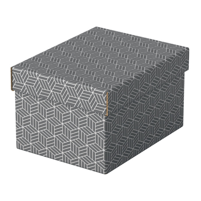 Opberg en geschenkdoos Esselte 200x150x255
