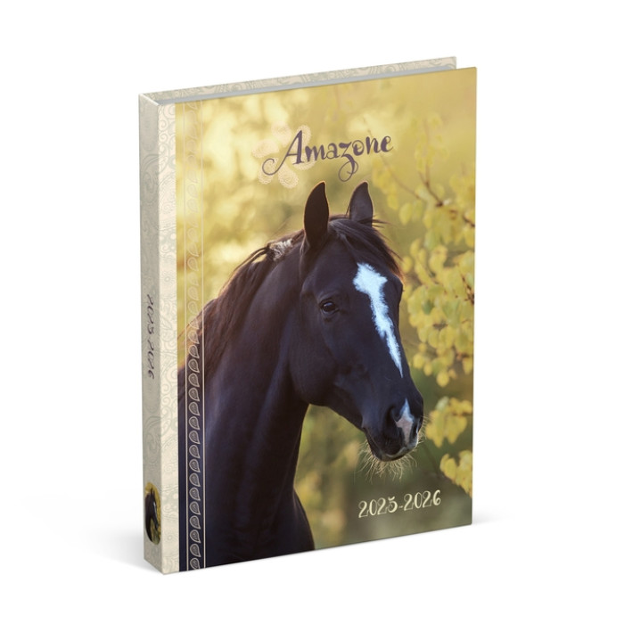 Schoolagenda 25-26 Lannoo Horses 1dag/1pagina geel