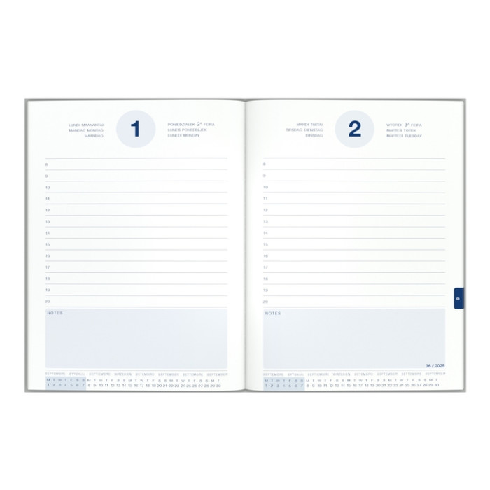 Schoolagenda 25-26 Lannoo Horses 1dag/1pagina geel