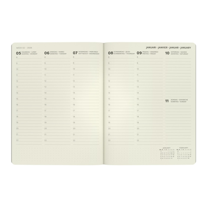 Agenda 2026 Lannoo bureau A5 QC Colour 7d/2p blauw
