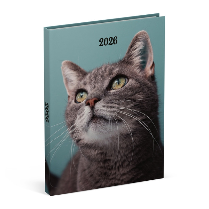 Agenda 2026 Lannoo My favourite friends 7d/2p cats