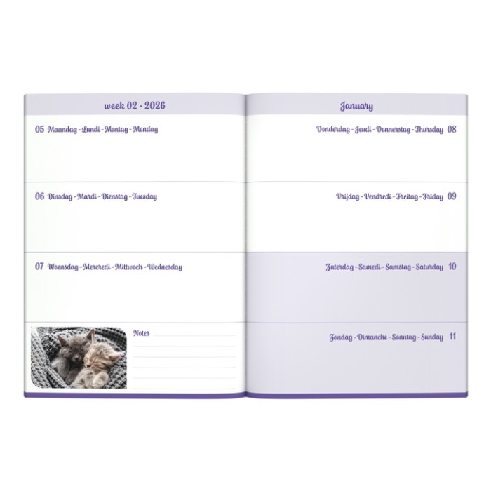 Agenda 2026 Lannoo My favourite friends 7d/2p cats