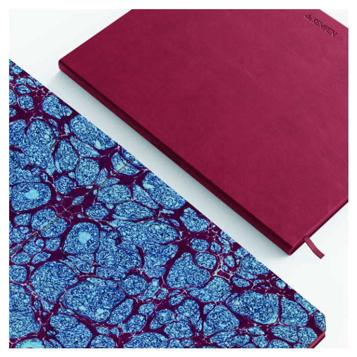 Notbk de KEMPEN Amarone 110x160 blanco 160pag drd