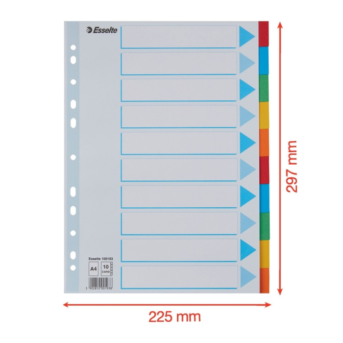 Tabbladen Esselte Standaard A4 10-delig karton 11-rings met voorblad assorti