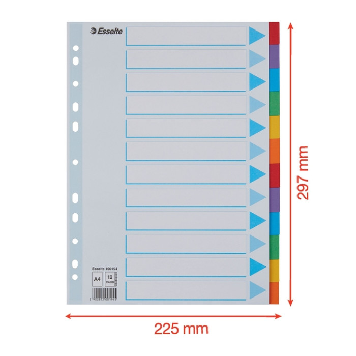 Tabbladen Esselte Standaard A4 12-delig karton 11-rings met voorblad assorti