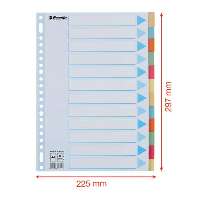 Tabbladen Esselte Premium A4 12-delig karton 23-rings assorti