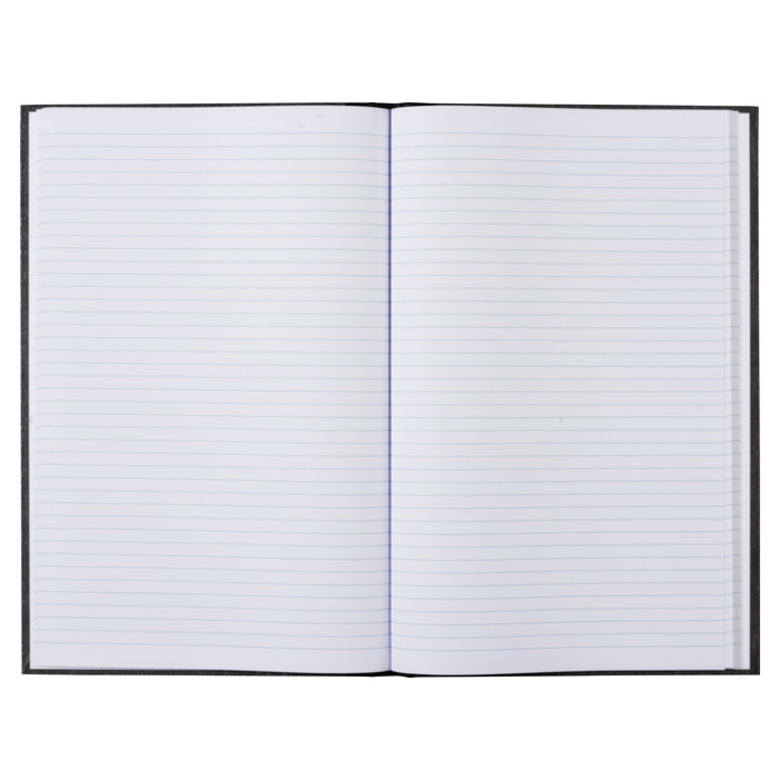 Register breedfolio 192blz lijn grijs gewolkt