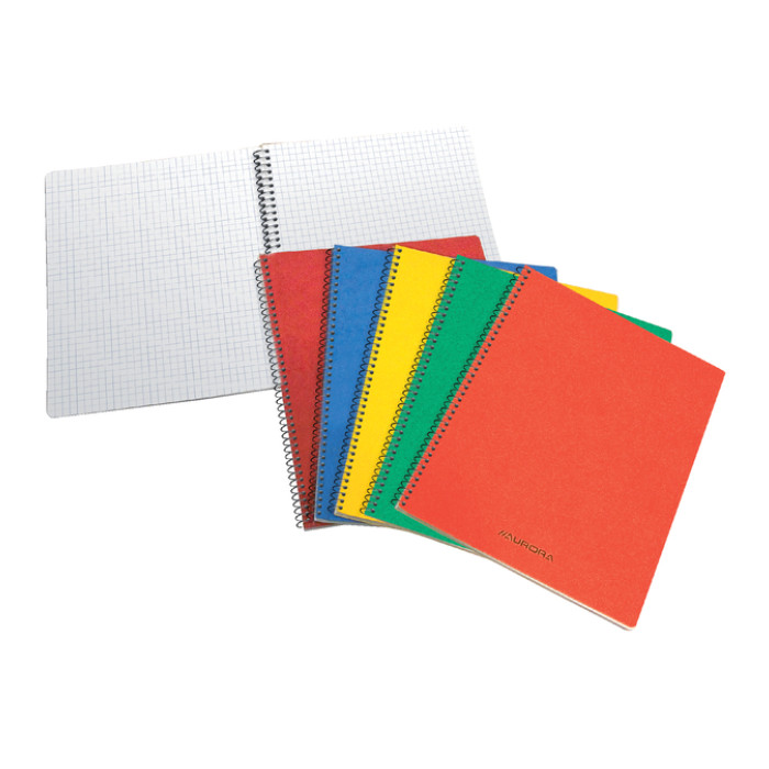Schrift Aurora 105x160mm ruit 5x5mm 240 pagina's 60gr assorti