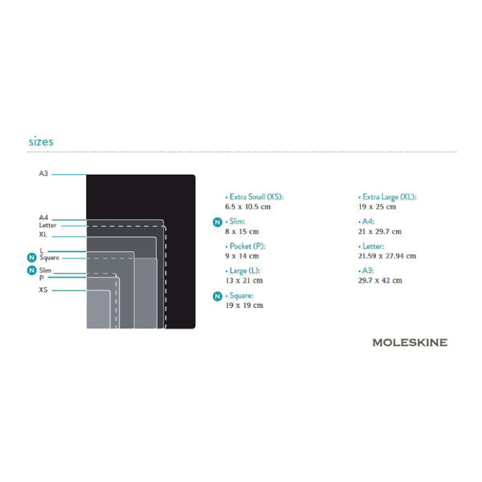 Notitieboek Moleskine large 130x210mm lijn hard cover zwart