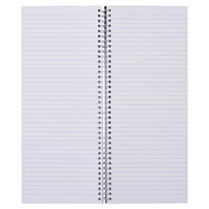 Notitieboek 135x330mm lijn 160blz 70gr spiraal oranje