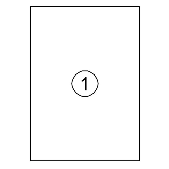 Etiket Quantore 210x297mm 100 stuks