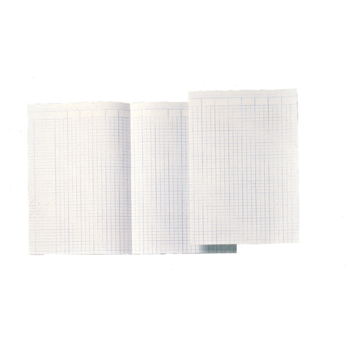 Accountantspapier Djois Atlanta A4 14 kolommen 100vel