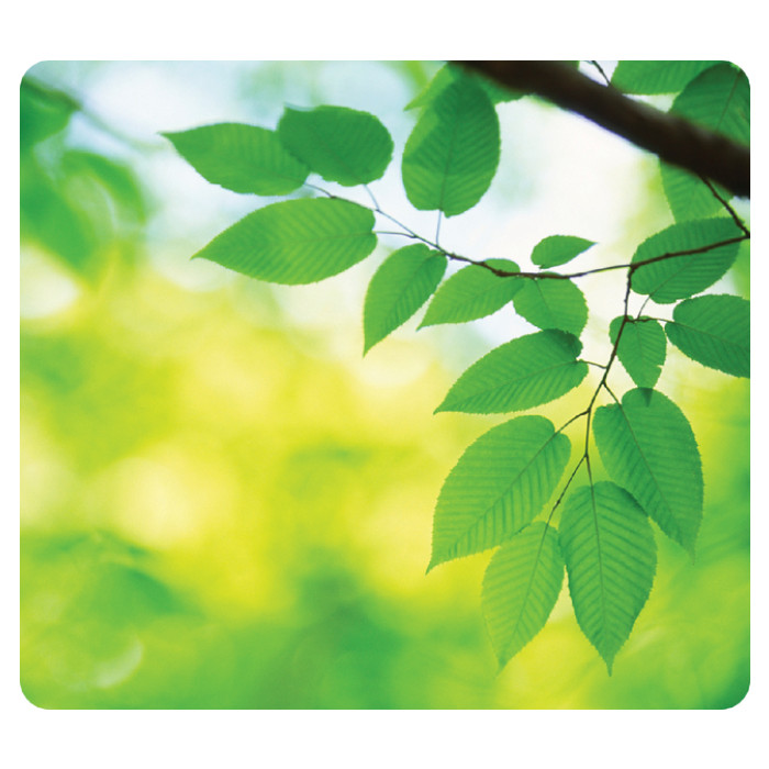 Muismat Fellowes natuur collectie bladeren 228x203mm