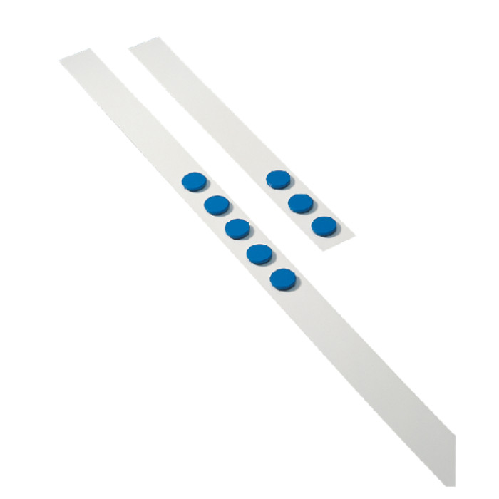 Wandlijst Desq 100cm met 5 blauwe magneten van 32mm