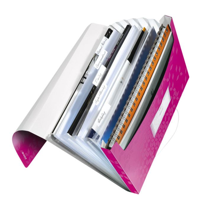 Projectmap Leitz WOW voor A4 6 vaks PP roze
