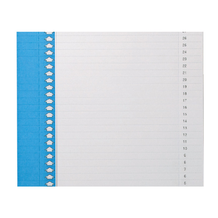 Ruiterstrook Elba Nr 0 297x6mm verticaal blauw 10 vel