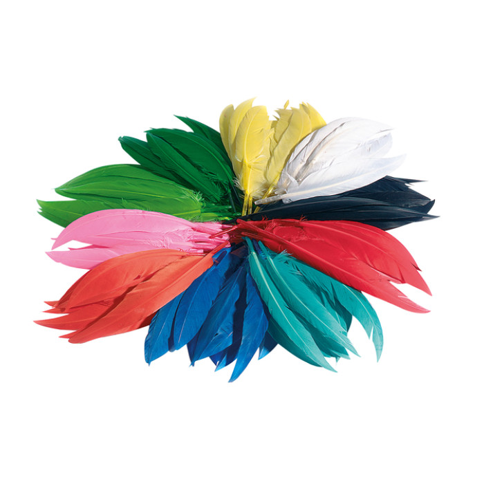 Indianen veren Folia assorti
