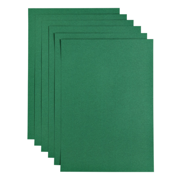Kopieerpapier Papicolor A4 100gr 12 vel dennengroen