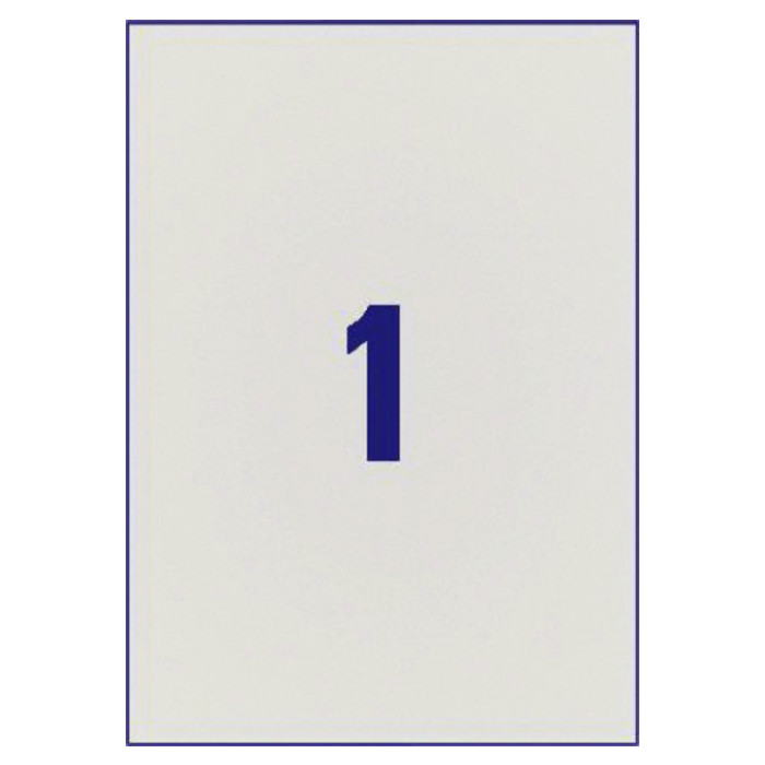 Etiket Avery L6013-20 210x297mm zilver 20 etiketten