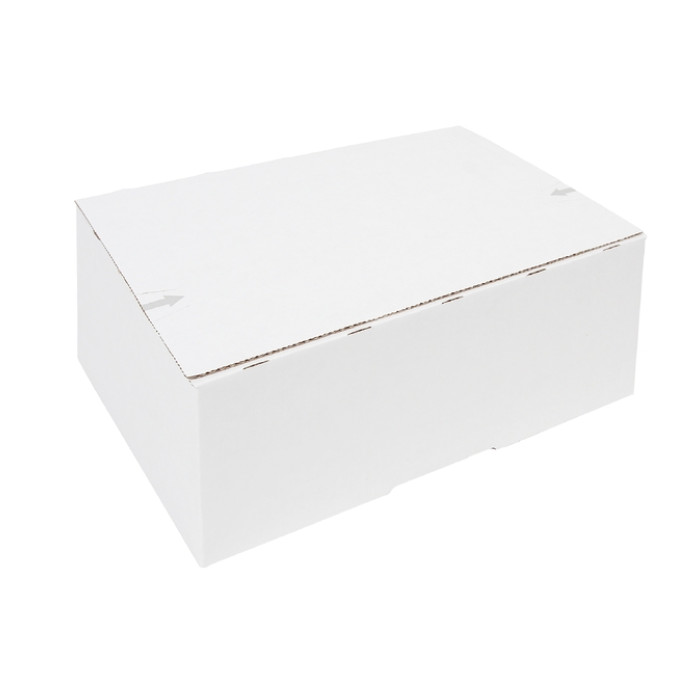 Postpakketbox IEZZY 4 305x215x110mm wit