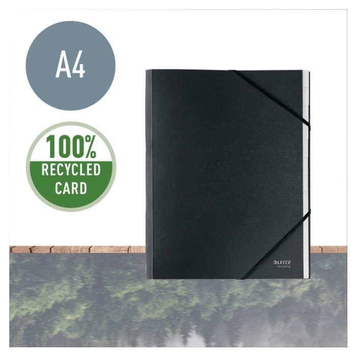 Sorteermap Leitz Recycle 12 tabs karton zwart