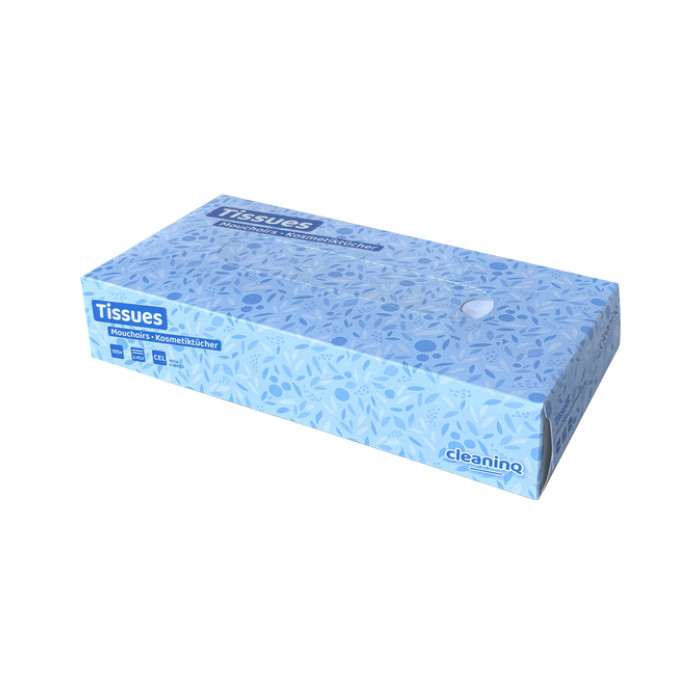 Facial tissues Cleaninq 2-laags 100stuks