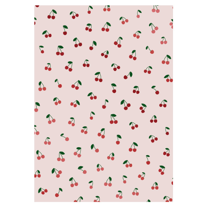 Inpakpapier Stewo Fresh Patterns 200x70cm assorti