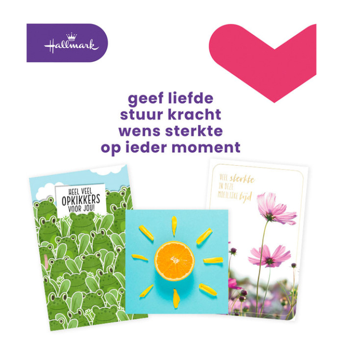 Wenskaart Hallmark navulset beterschap/sterkte 12 kaarten