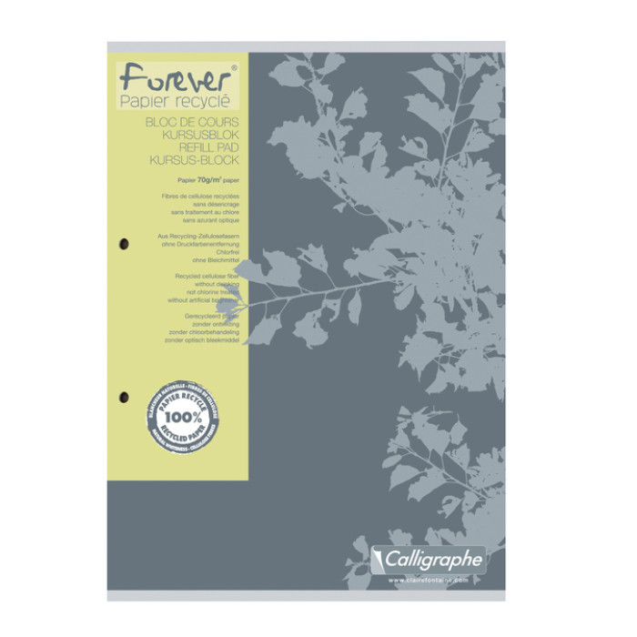 Cursusblok Clairefontaine Forever Calligraphe A4 ruit 5x5mm 2-gaats 200 pagina's 70gr grijs
