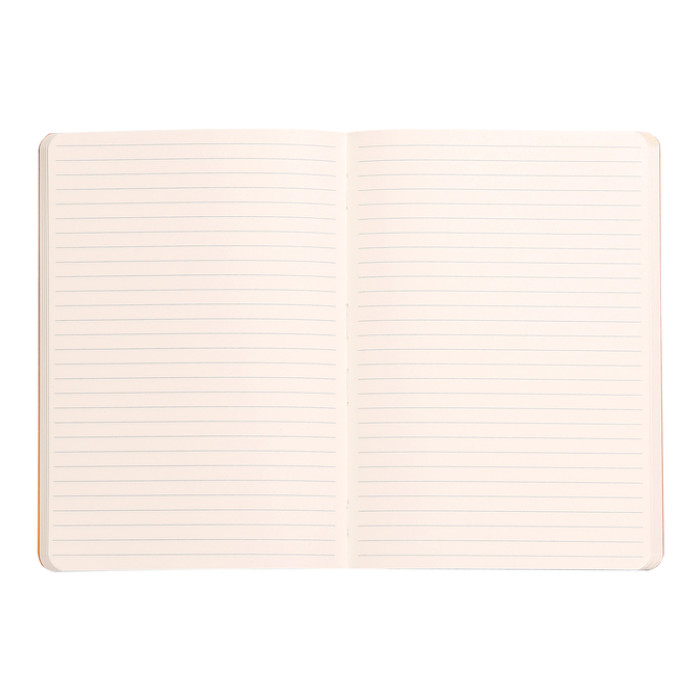 Notitieboek Rhodia A5 lijn 80 vel 90gr celadon