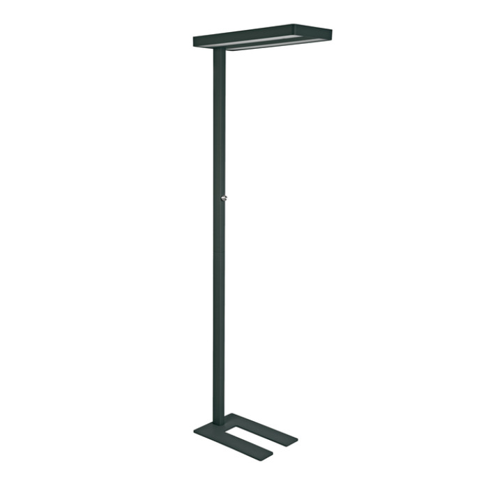 Vloerlamp MAUL Javal LED dimbaar zwart hoog 195cm