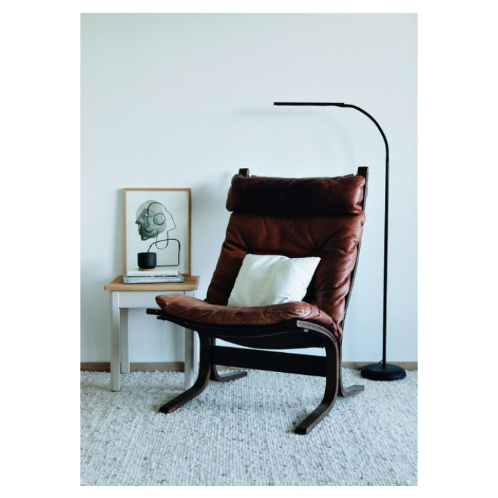 Vloerlamp MAUL Pirro LED dimbaar zwart