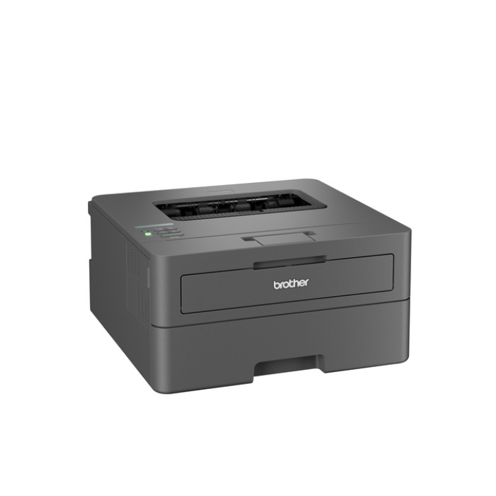 Printer Laser Brother HL-L2445DW