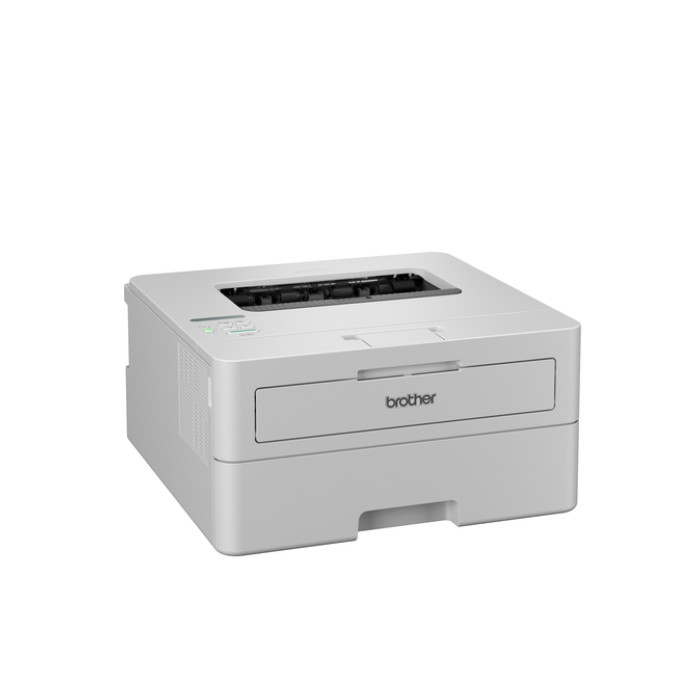 Printer Laser Brother HL-L2865DW