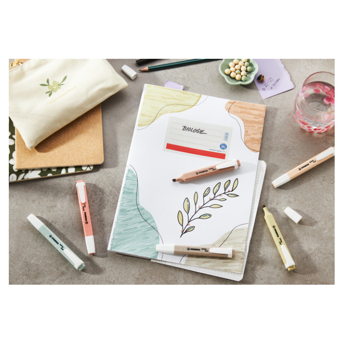 Markeerstift STABILO Swing cool nature colors assorti 6 stuks