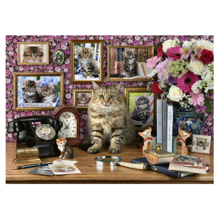 Puzzel Ravensburger Mijn katjes 1000 stukjes