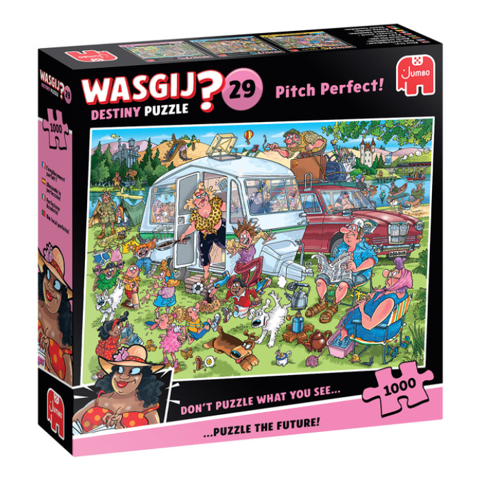 Puzzel Wasgij Destiny 29  Op de Camping!1000st