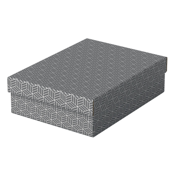 Opberg- en geschenkdoos Esselte home middelgroot 265x100x360mm grijs 3 stuks