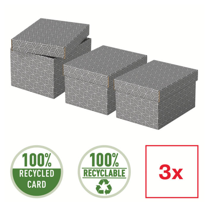 Opberg- en geschenkdoos Esselte home klein 200x150x255mm gr 3 st