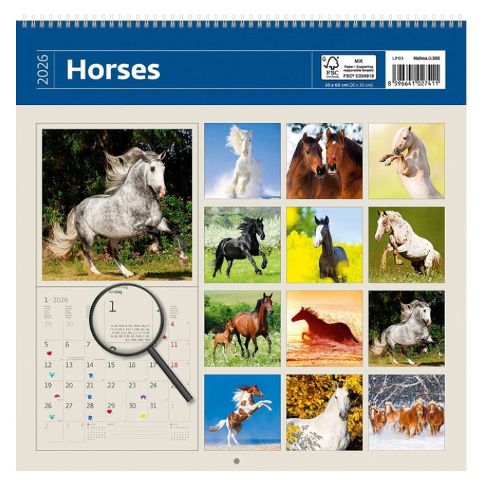 Kalender 2026 Helma 365 30x30cm paarden