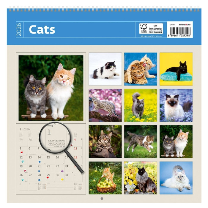 Kalender 2026 Helma 365 30x30cm katten