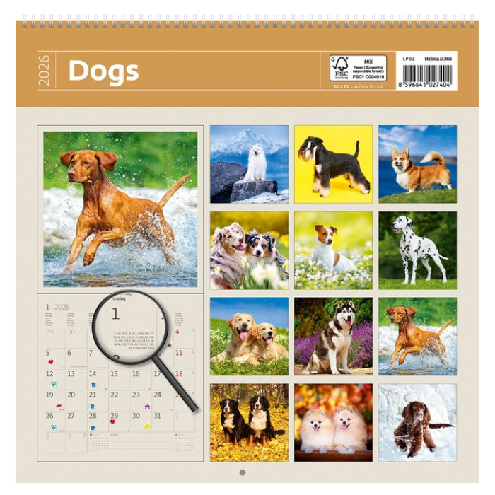 Kalender 2026 Helma 365 30x30cm honden