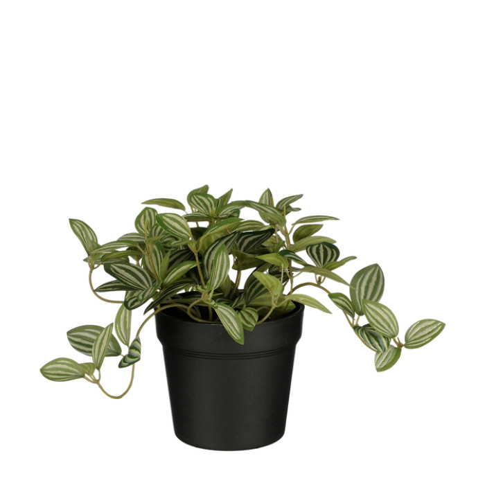 Kunstplant Mica Tradescantia in pot 16x16cm