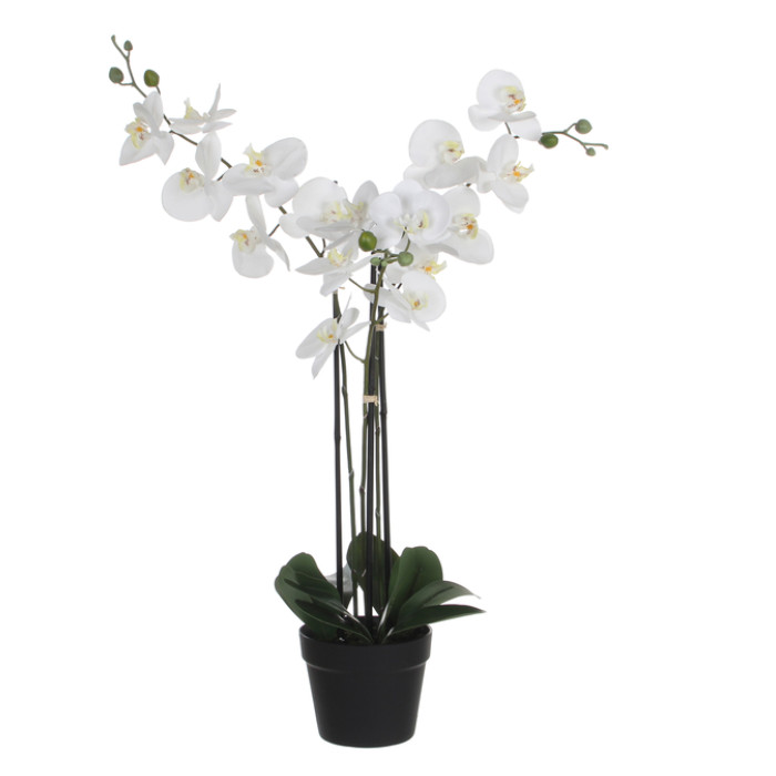 Kunstplant Mica Phalaenopsis orchideeën wit in plastic pot 79x51cm